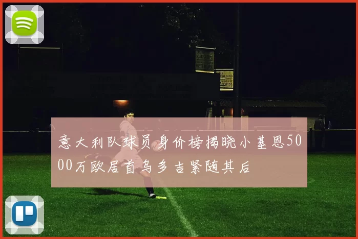 意大利队球员身价榜揭晓小基恩5000万欧居首乌多吉紧随其后