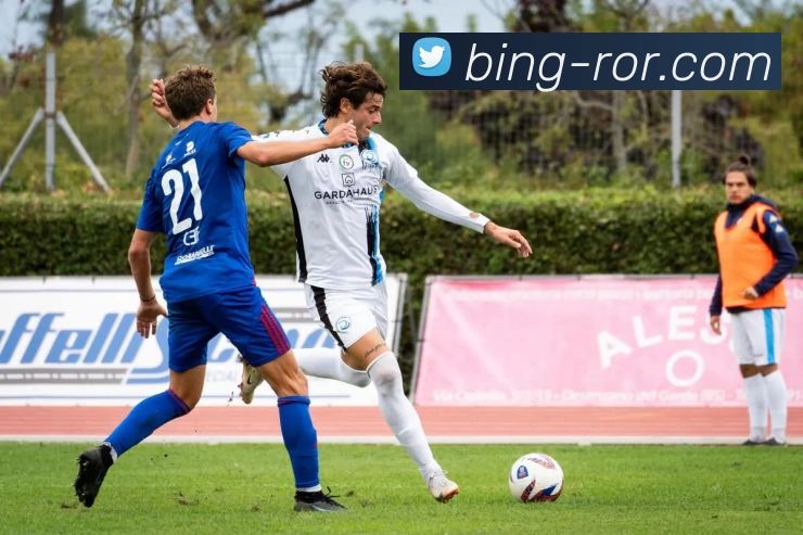 ROR体育平台生态图