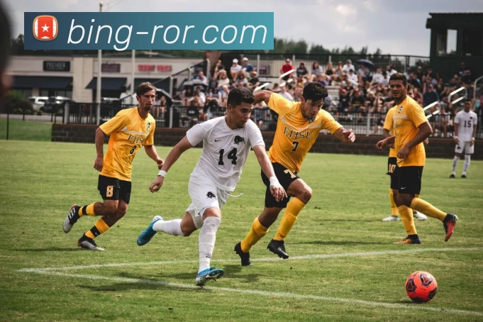 数据防护可视化